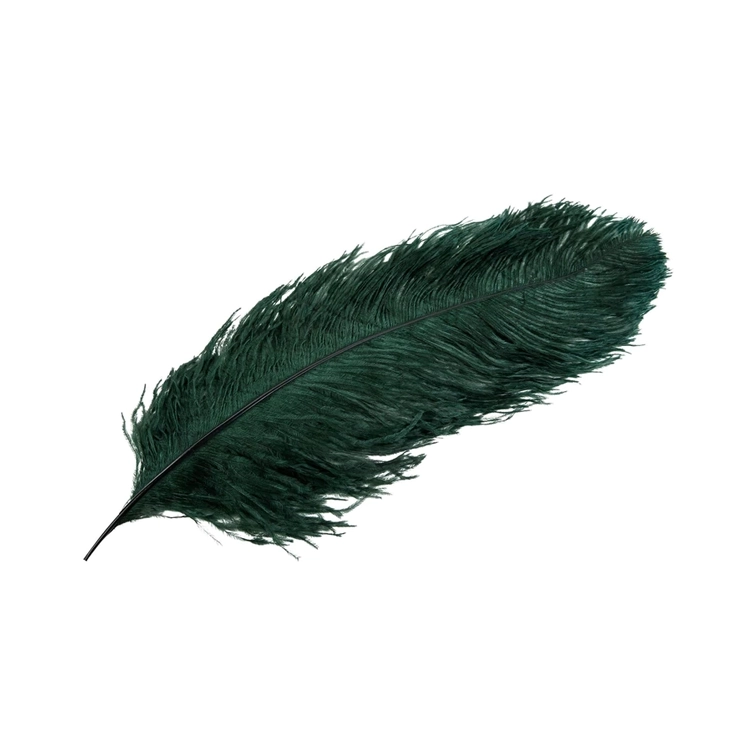 strudsfjer, mørkegrøn XL