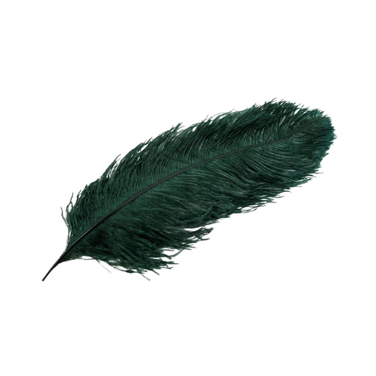 strudsfjer, mørkegrøn XL
