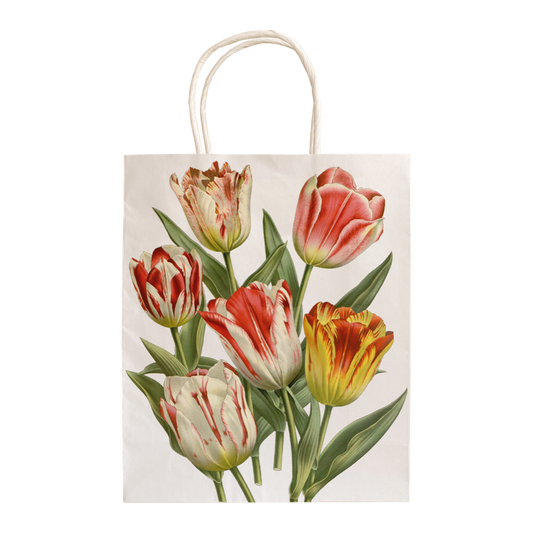 Papperskasse, Tulpaner