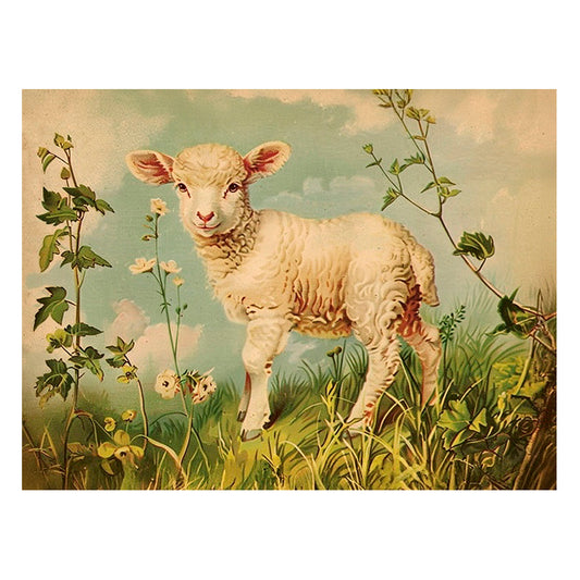 Poster,  Lamm S (18 x 24 cm)