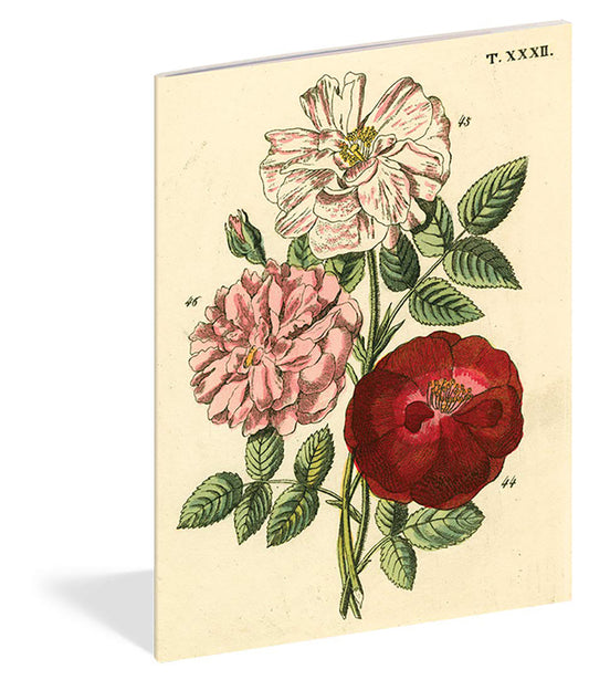 Anteckningsbok med rosor illustrerad av John Derian.