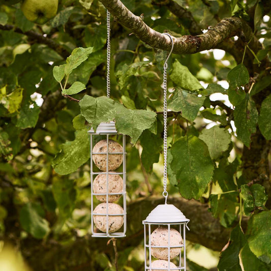 foder upphängning Fågel rund