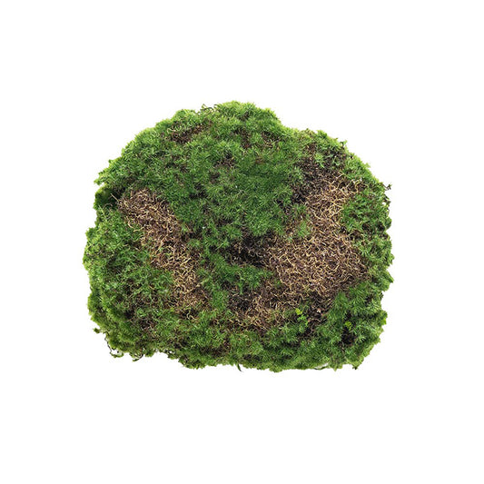 Konstgjorda växter, Mossa