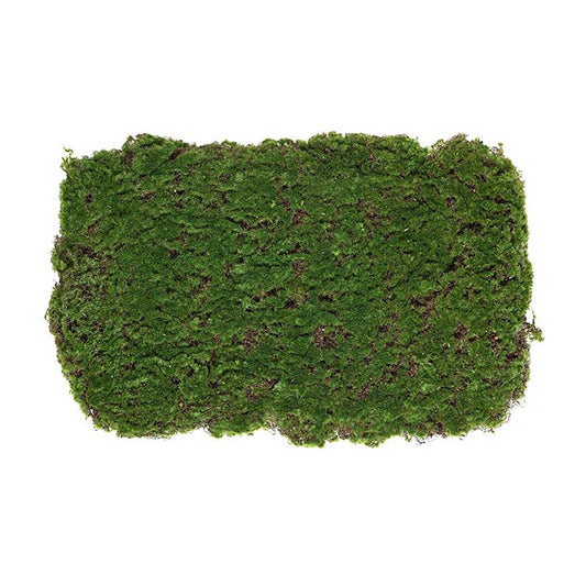 Konstgjorda växter, Mossmatta