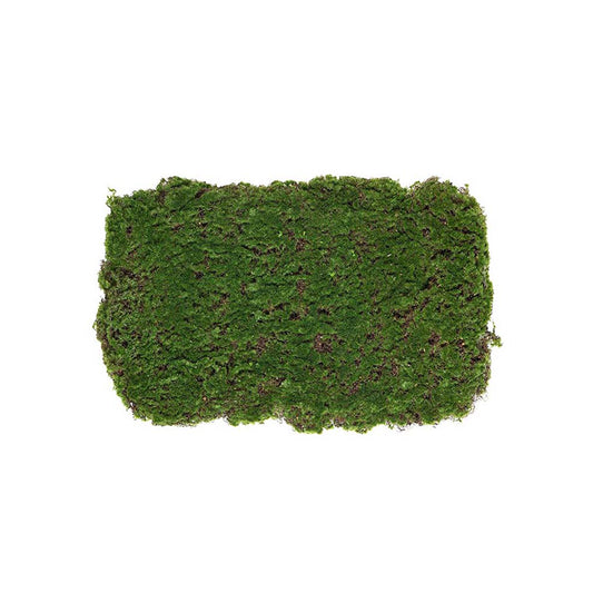 Konstgjorda växter, Mossmatta