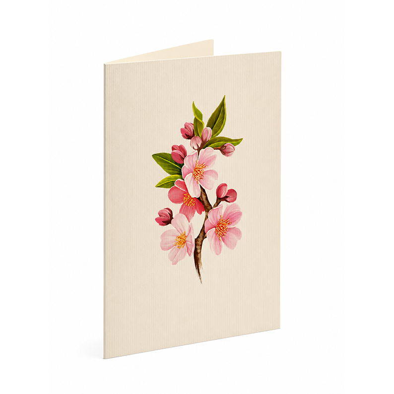 Pop-up-kort, körsbärsblommor i vas