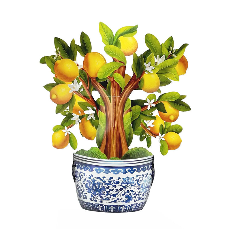 Pop-up kort, Citronträd