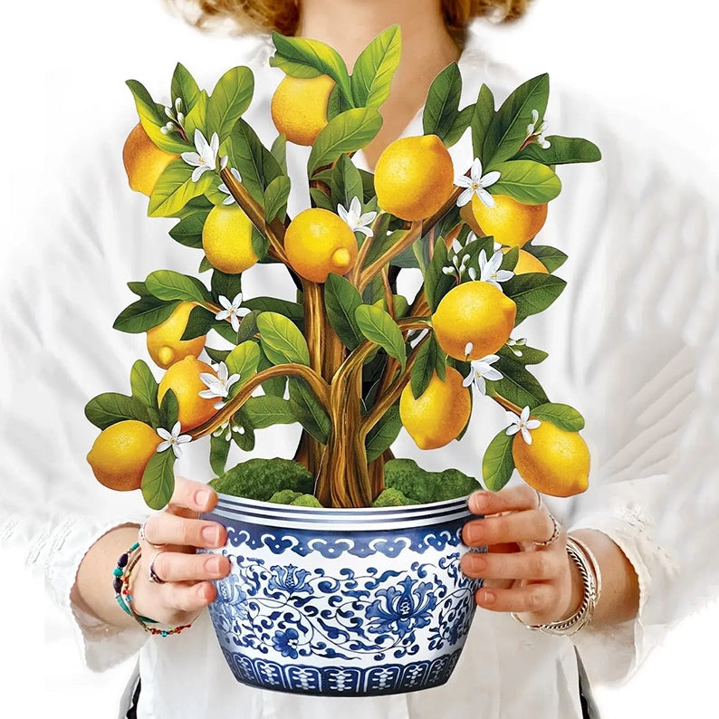 Pop-up kort, Citronträd
