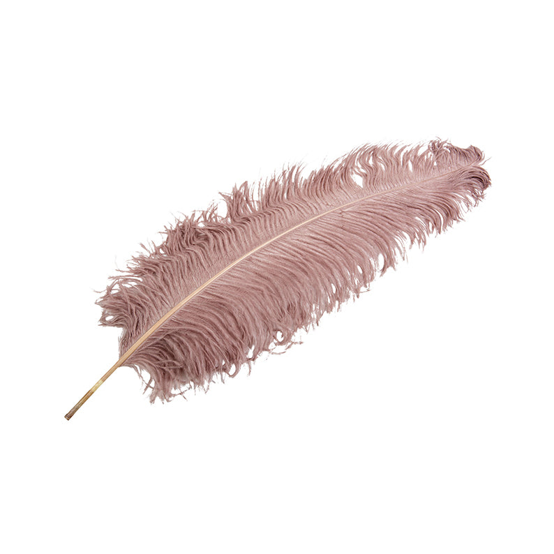 Ostrich feather, faded pink XL
