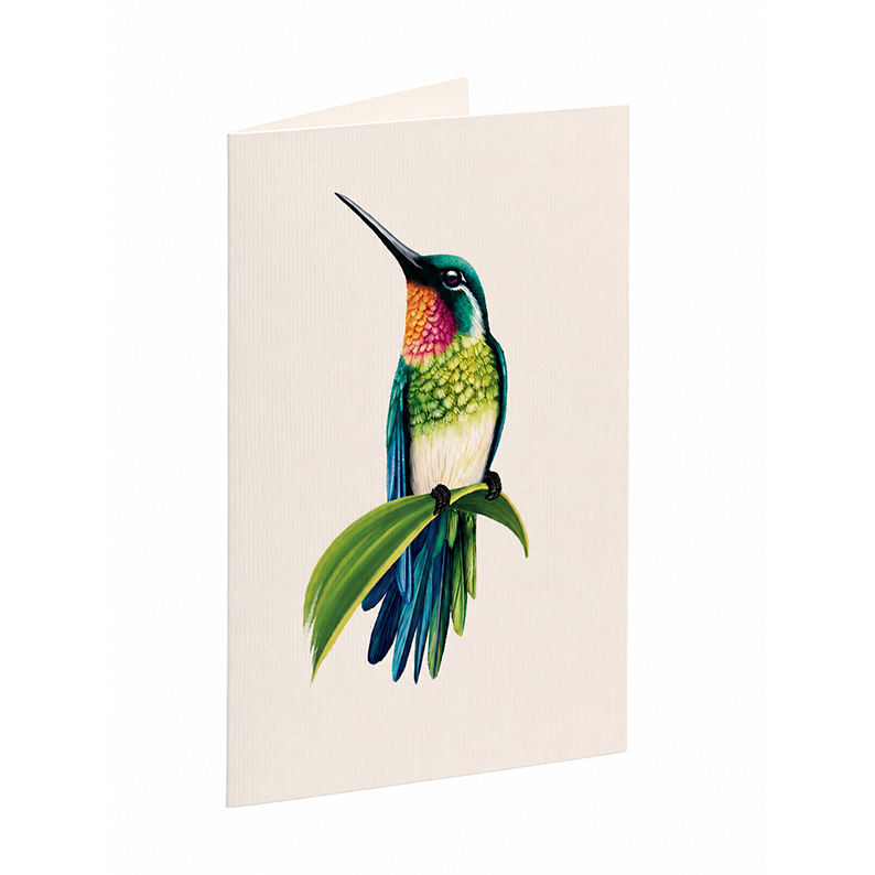 Pop-up kort, Kolibri oas