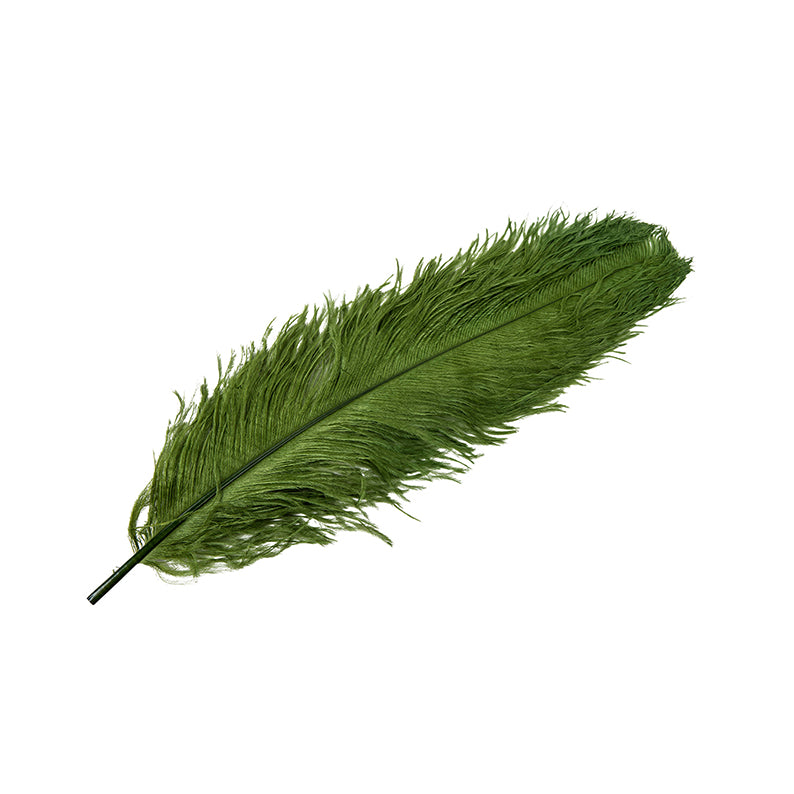 Ostrich feather, green XL