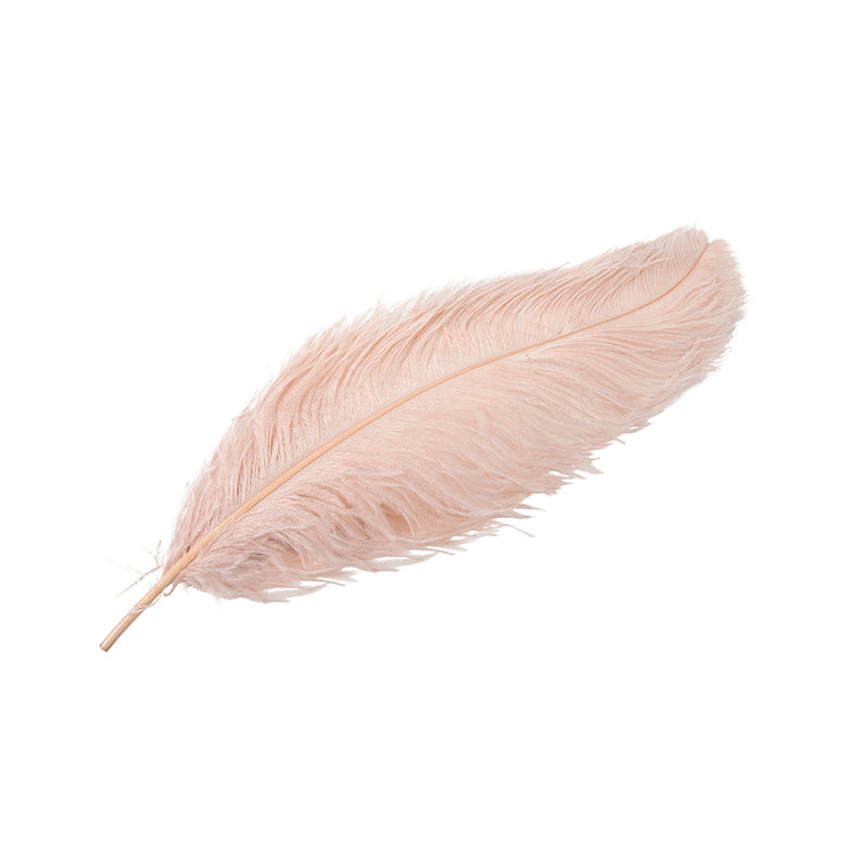 Ostrich feather, powder pink XL