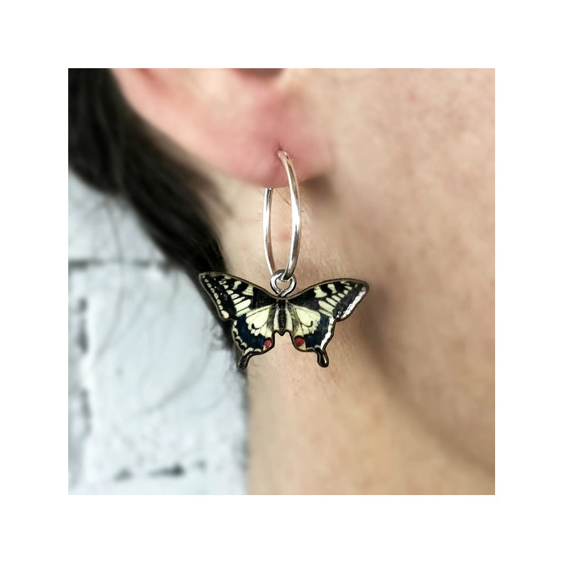 Örhänge med Makaonfjäril i öra