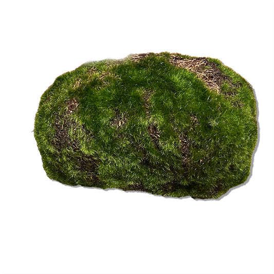 Konstgjorda växter, Mossa