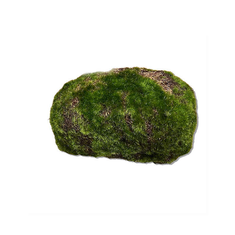 Konstgjorda växter, Mossa