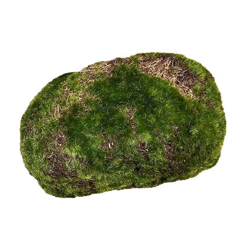 Konstgjorda växter, Mossa