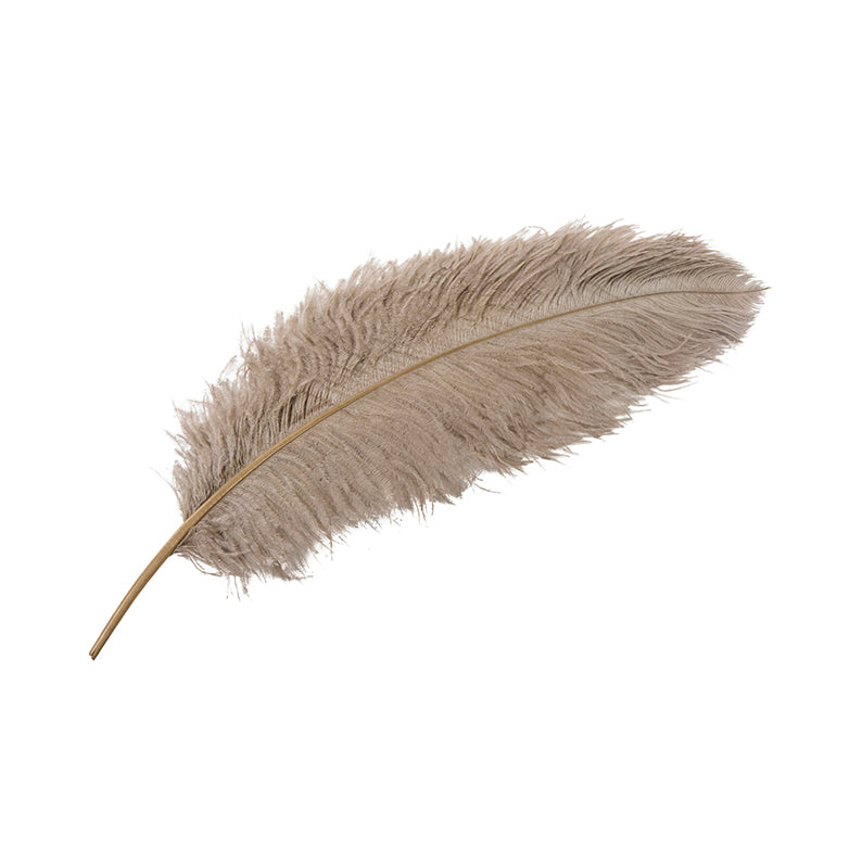 Ostrich feather, mole XL