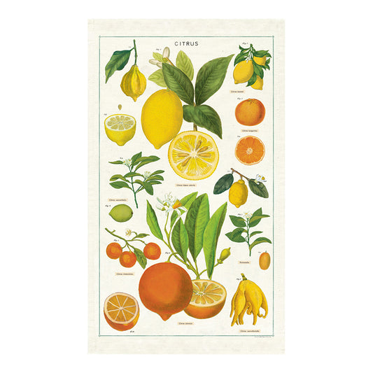 AAA Kökshandduk, Citrus