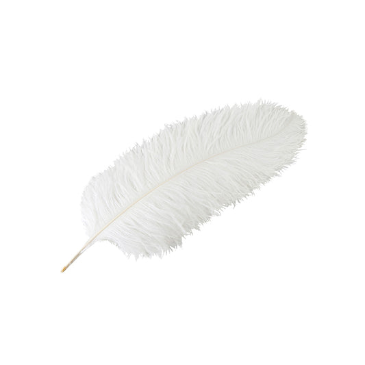 Ostrich feather, white XL