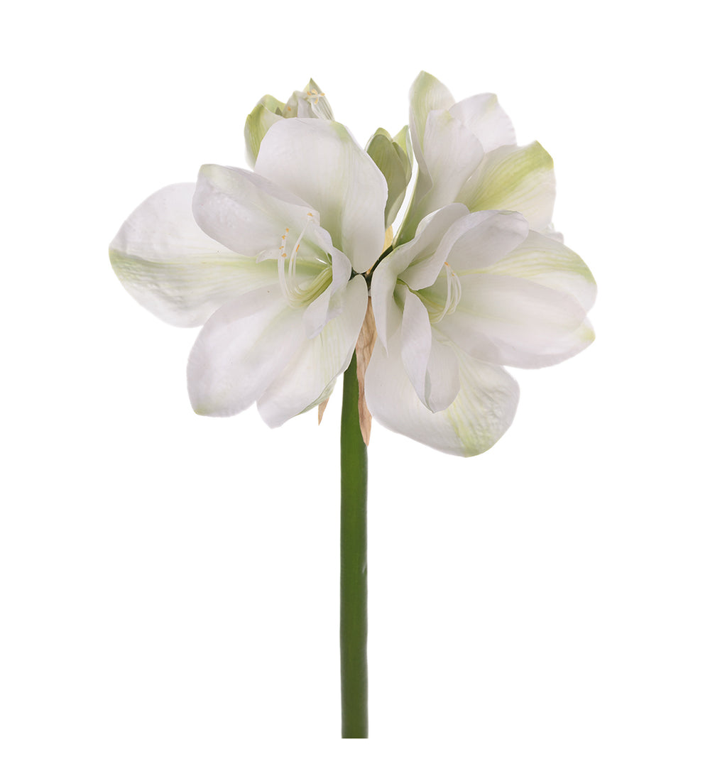 Konstgjord blomma/växt, Vit Amaryllis