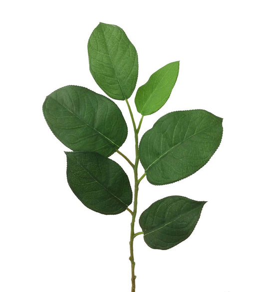 Kvist med blad
