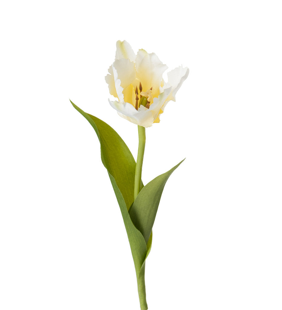 Konstgjord blomma, Tulpan