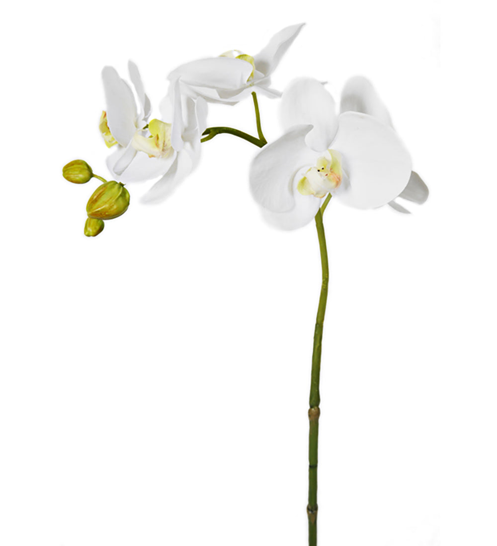 Konstgjord blomma/växt, Phalaenopsis 65 cm
