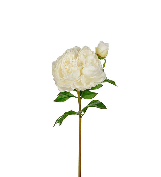 Konstgjord blomma/växt, Pion Vit 65 cm