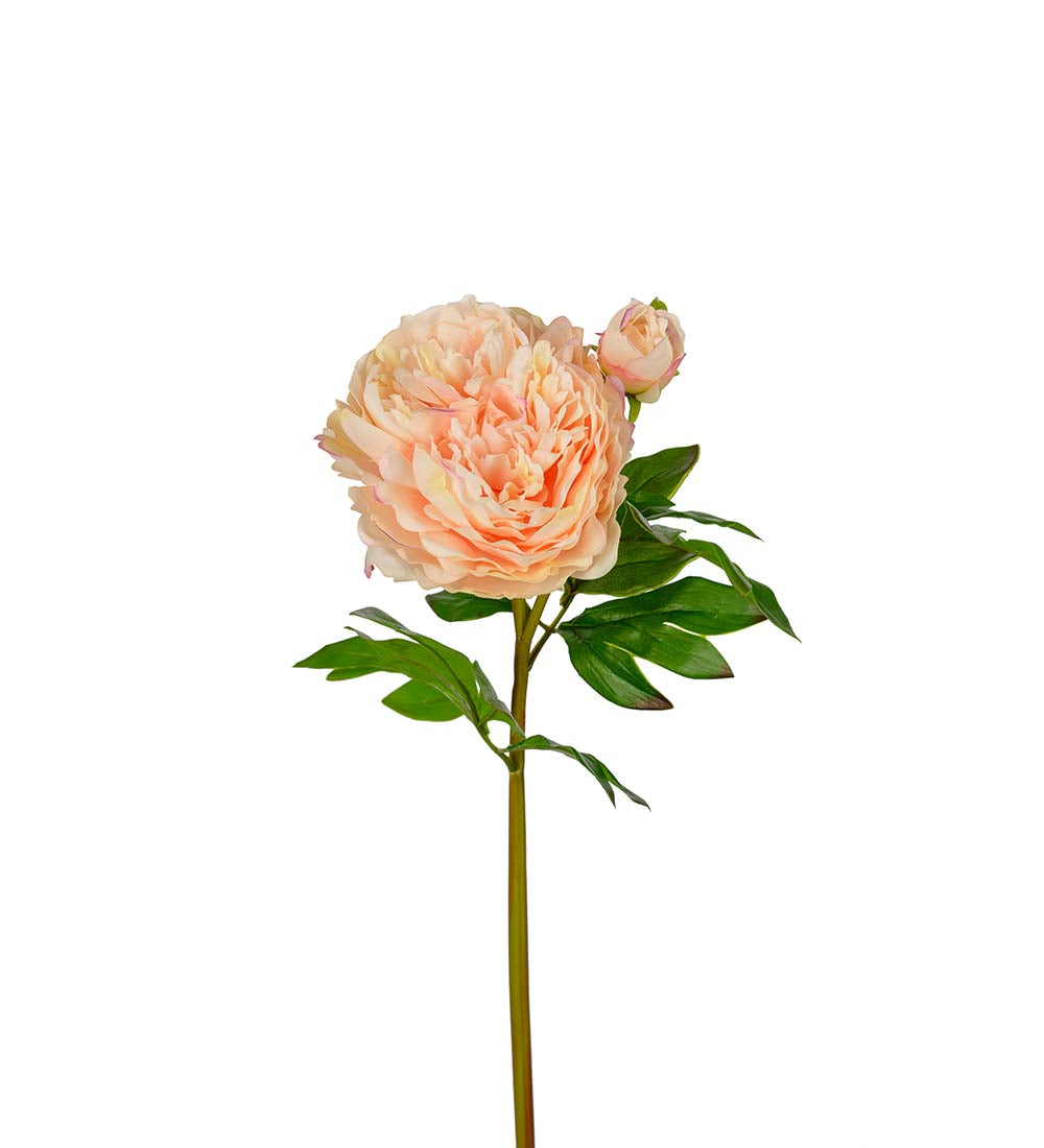 Konstgjord blomma/växt, Pion Aprikos 65 cm