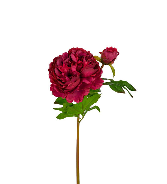 Konstgjord blomma/växt, Pion burgundyfärgad 65 cm