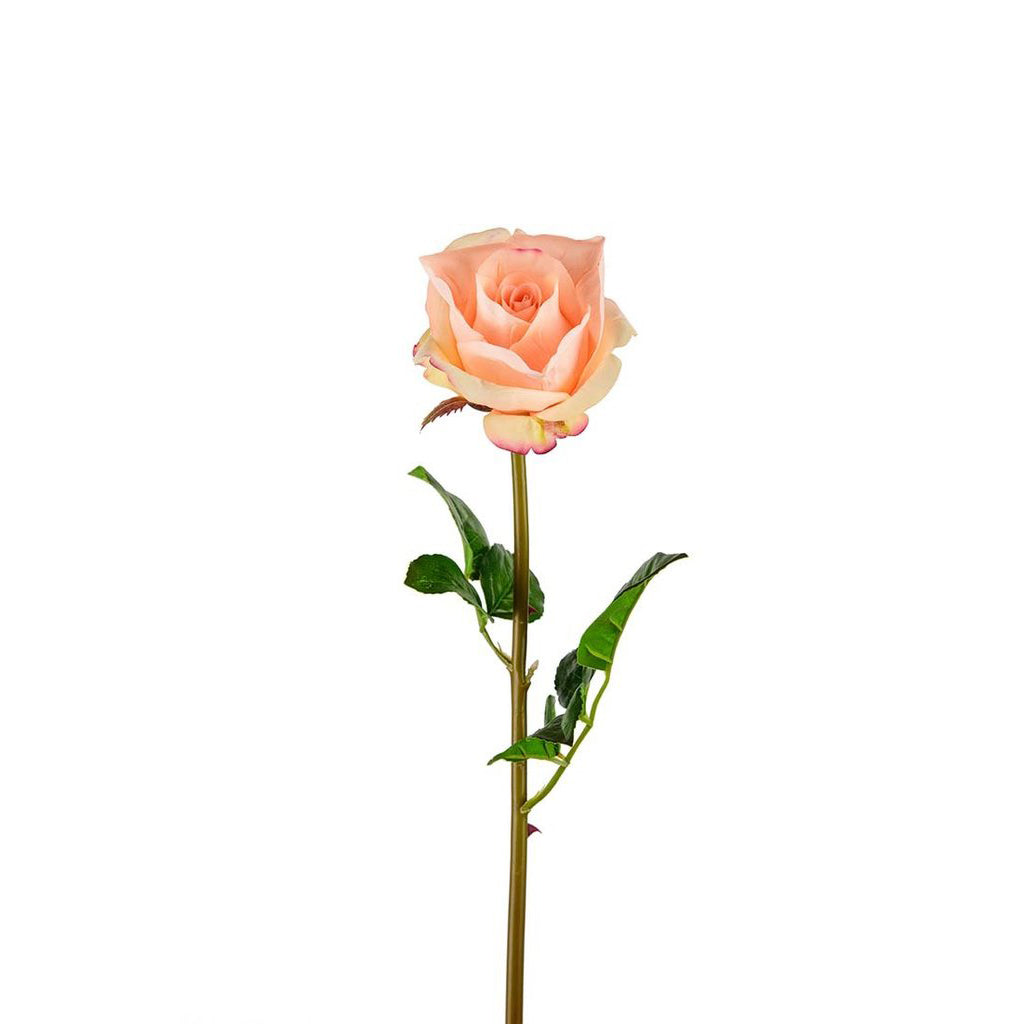 Konstgjord blomma, Ros Aprikos