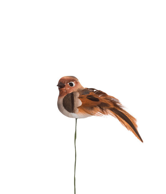 Rostbrun fågel på ståltråd