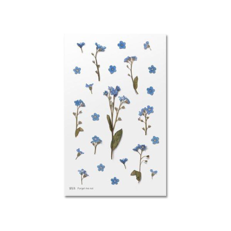 Förgätmigej Klistermärke i form av pressade blommor o blad
