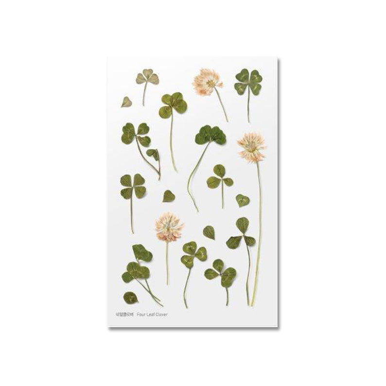 Klöver klistermärke i form av pressade blommor o blad 
