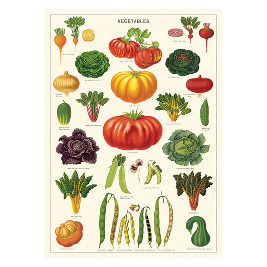 En poster med många olika grönsaker från kökslandet