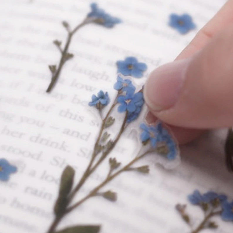 Förgätmigej Klistermärke i form av pressade blommor o blad