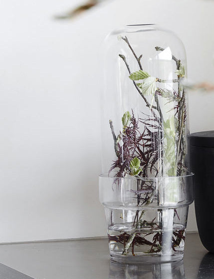 Glasklocka med växt i vatten