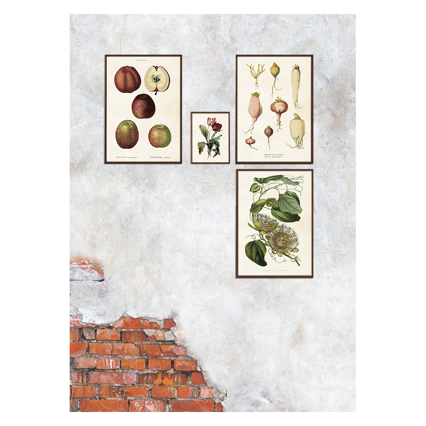 Vintage posters med olika motiv.