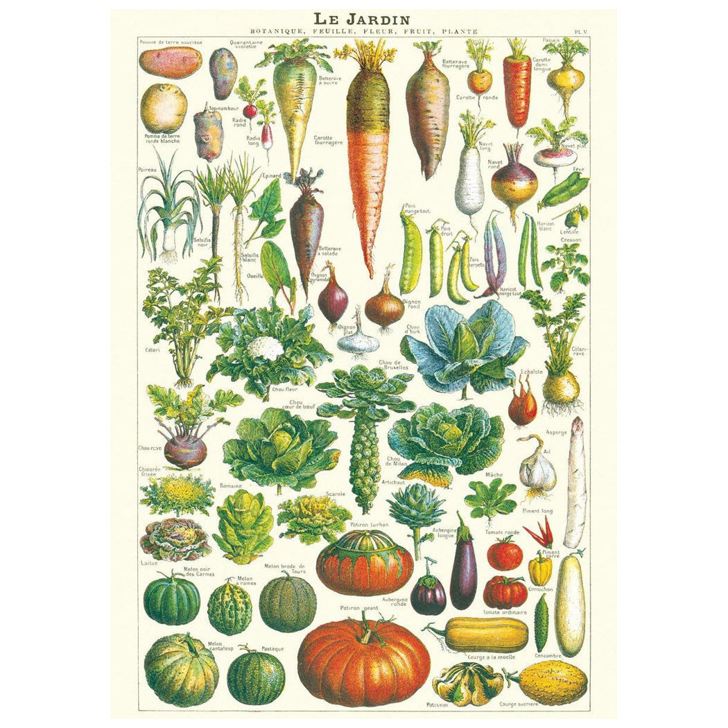 Vintage poster med olika grönsaker